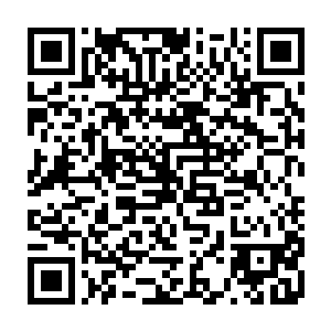 正是这一次京中老人的南巡才引发了全中国一轮新的改革开放和发展的浪潮二维码生成