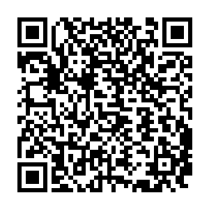 正是那被杨晨挑飞的噬血虫赫然从半空中正冲杨晨他们又飞了过来二维码生成