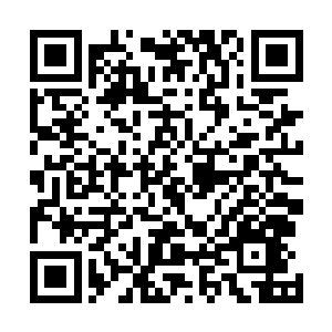 正是领着李信和孙娇娇缩一起瞪大了眼睛看着他的袁正昆二维码生成