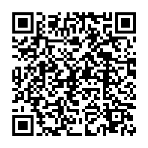 正有一双血色大手和另一柄的莲瓣血刀同时不断攻击着此淡青色莲瓣二维码生成