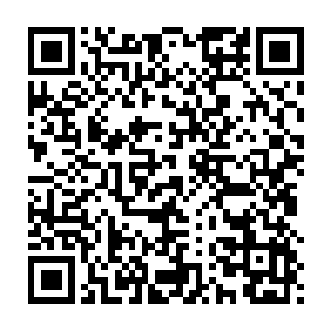 正有十几个衣衫有些残破的机甲师正用简单的器皿煮着就地捕捉的小兽二维码生成