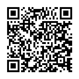 正看到班上的几个牲口正一排的站在教室一侧的窗户边二维码生成