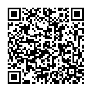 正看到黑暗圣徒塞巴斯蒂安和一个同样进阶十五级的战灵战斗在一起二维码生成