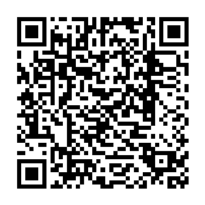 正看见周伟业带着人大的其他几个副主任以及办公室人员在门口迎接二维码生成