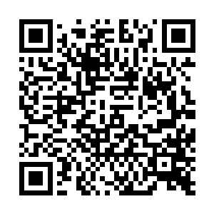 此人又诡异算计了自己……小小真仙当然没有这能力算计二维码生成
