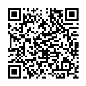 此位面的基金会在人员结构上与你所了解的基金会有一定差别二维码生成