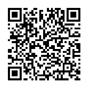 此修士刚才便把货架之上摆放的十几件法器都一一的浏览过了二维码生成