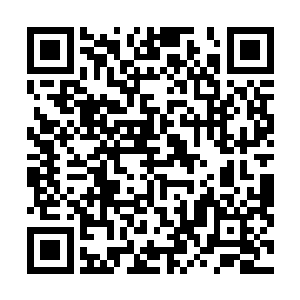 此刻也因为云州李氏和李画容不确定的目标而停止了进攻二维码生成