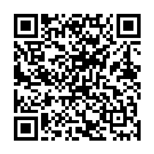 此刻他们也没有去想为什么飞凤公主会将他们带到这里了二维码生成