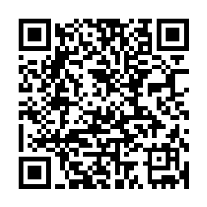 此刻他们也都被小红勒令指挥着挡在了其他药香派弟子的前面二维码生成