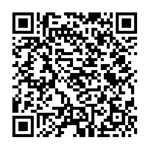 此刻他竟然会在一个区区不朽境界的小家伙手中看到这混沌钟的踪影二维码生成