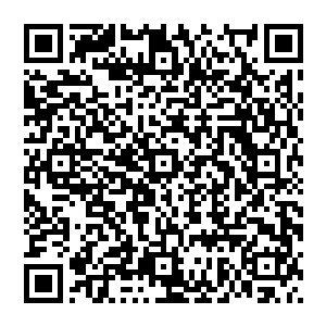 此刻修真星上的圣皇子死死的看着光幕 他们能够清楚的看出 此时的风清扬 正在吃力的坚持着二维码生成