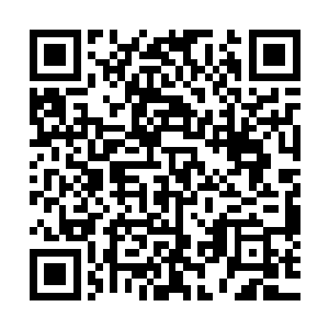 此刻出现在光屏上的乃是他们收到邀请函时候自行上交的代号二维码生成