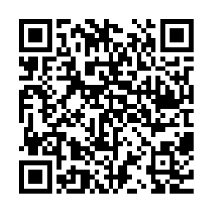 此刻在下面的懂事顿时纷纷没有一个拒绝的发表了自己的意见二维码生成