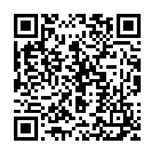 此刻塔尔塔罗斯所召唤出来的血肉怪物不仅在围攻楚旬和愤怒二维码生成