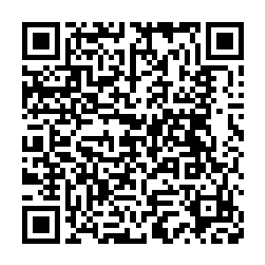 此刻她一双美目正扎也不眨的盯着倒在血泊中的周天子和周云子二人二维码生成