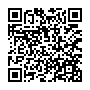 此刻居然都被这反弹回来的白金光辉给轰击得连连后退二维码生成