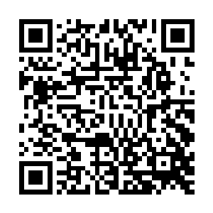 此刻已经变得惨白惨白的了……他这已经在透支自己的力量了二维码生成