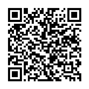 此刻已经没有谁会不识趣的释放出灵力去探测这威压的主人的二维码生成