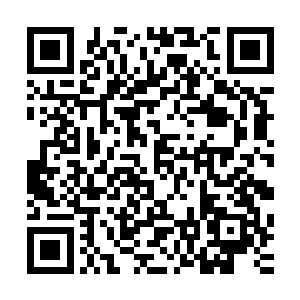 此刻所有的伪帝和属于星界的半圣们皆都在缠斗着魔域的半圣二维码生成