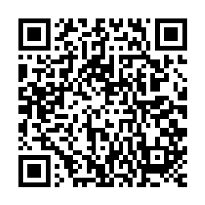 此刻文森特体内残存的异能能量已经无法阻挡病毒力量的入侵二维码生成