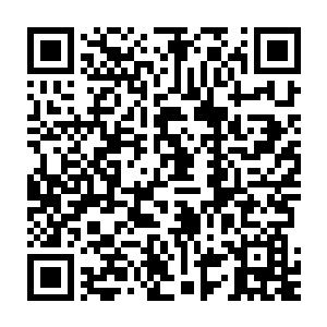 此刻树洞里面的水已经被雨水淹了三分之一了树洞外面仍然在下大雨二维码生成