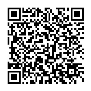 此刻正美美的蹲伏在水池子中央的一片怪异的墨绿色荷叶状植物上二维码生成