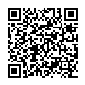 此刻白芷璃和东黎墨早前服下的易容丹的药效早就已经过了二维码生成