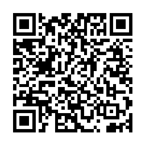 此刻的他所使用的是法则力量所凝聚而成的升级帮的化龙之铠二维码生成