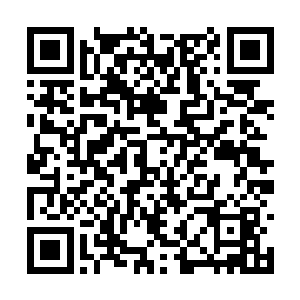 此刻的它如果遇到那家伙肯定会往死里的发动攻击二维码生成