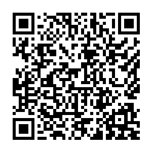 此刻的李御师模样和之前我看到的老马受伤的模样几乎是一模一样二维码生成