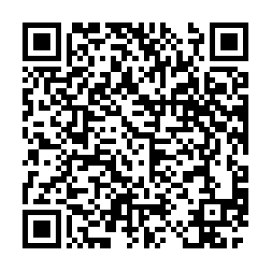 此刻的杨晨若是让别人看到他的相貌一定会惊异的认不出来他是谁二维码生成
