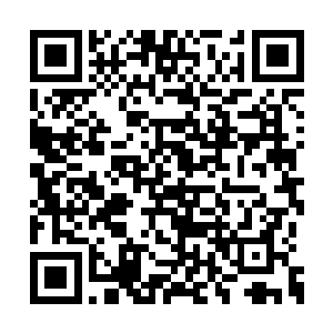 此刻的林辰早已经忘记了远在另一方的影月组织二维码生成