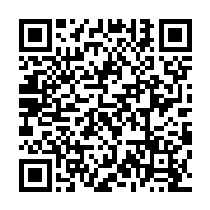 此刻的秦方几乎已经是将自己的实力毫无保留的展现出来了二维码生成