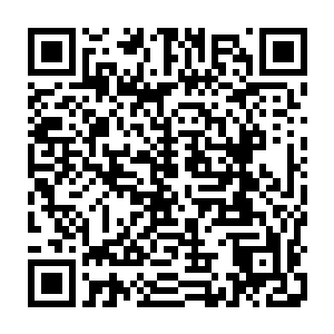 此刻的自己应该和毕业班的一堆不满格力斯的牲口在学校外面手持棍棒以多对少二维码生成