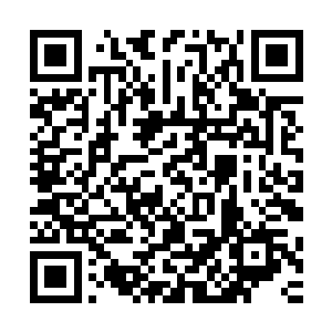 此刻的苏落正在一次又一次的将她的黑暗光明攻击力储存起来二维码生成