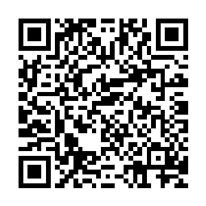 此刻秦方已经被那些血滴射成了筛子……一滴血没有什么可怕的二维码生成