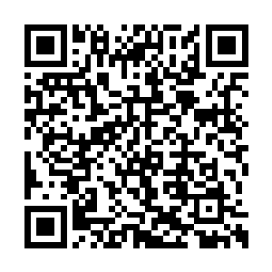 此刻羽伯带着上百万的普通人早已经离开了小镇二维码生成