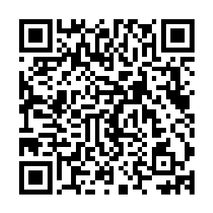 此刻脑海里闪现我和咕仔从相逢到他这次重伤之前的点点滴滴二维码生成