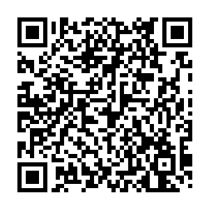 此刻这些血神子在吞噬了辟寒大王的部分精血力量之后显然是得到了大补二维码生成