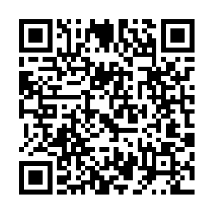 此刻那世家和门派的三位年轻人五窍流血倒在地上昏迷不醒二维码生成