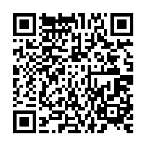 此刻闯入这太极图阵内的也纷纷被无数符咒所组成的光链所缠绕二维码生成