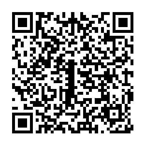 此时一颗大小如狼族牙齿几倍的微微现出腥红之色的狼牙现在掌心二维码生成