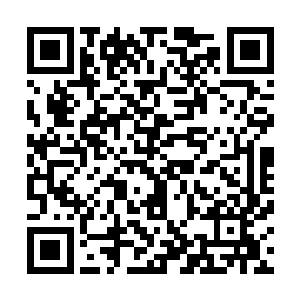 此时专注细致辨认原版法阵图纸与本门经过改良的法阵区别二维码生成