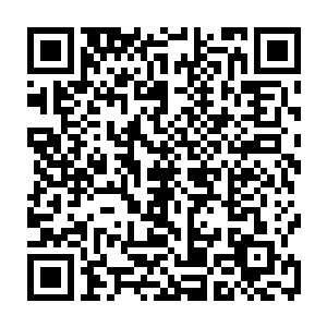 此时亡灵大军在光明魔法师和其他的各系魔法师的攻击下已经死伤了一大片了二维码生成