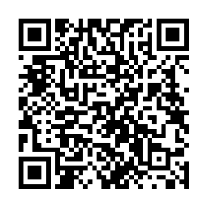 此时他也明白为什么魔教教主的传承飞回诸神的黄昏了二维码生成