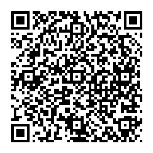 此时他也终于能够理解为什么每次雷兽见到龙傲天身上的那诡异的恐怖的逆天的表现都能够从容对待了二维码生成