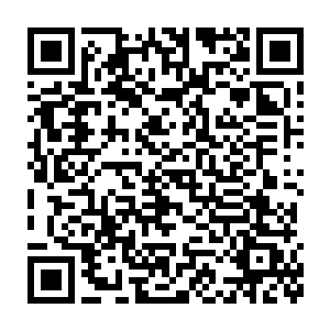 此时他们终于明白当时教他们的长老为什么说五鞭子就可以要人命了二维码生成
