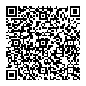此时他正坐在自己的办公室里一脸阴郁的跟站在他对面刚刚上任不久的三星移动通讯业务总裁高东真谈着话二维码生成