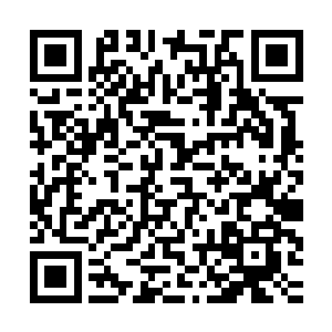 此时他距离先天大树的位置与野王距离先天大树的位置是相同的二维码生成